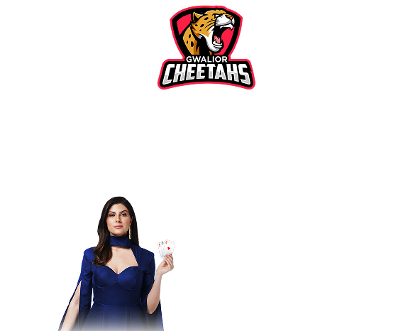Sponsors